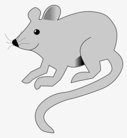 Rat Animation Transparent, HD Png Download, Transparent PNG