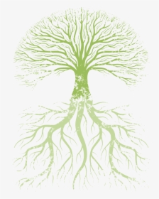 Family Tree Root Tree Of Life - True Knowledge Is Knowing The Extent Of One's Ignorance, HD Png Download, Transparent PNG