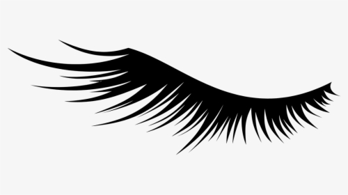 And White,feather - Eyelash Icon Transparent Background, HD Png Download, Transparent PNG