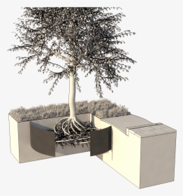 Transparent Tree Roots Png - Architecture, Png Download, Transparent PNG