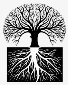 Tree Roots Png For Kids - Days Of The New Tattoo, Transparent Png, Transparent PNG
