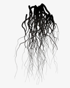 Veins Png - Report Abuse - Transparent Background Roots Png, Png Download, Transparent PNG
