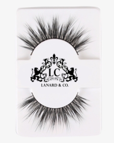 Lilly Lashes Miami Dupe, HD Png Download, Transparent PNG