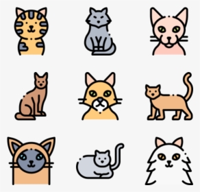 Cats - God Icons, HD Png Download, Transparent PNG