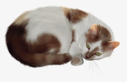 Cat Clipart Transparent - Cat Transparent Clip Art, HD Png Download, Transparent PNG