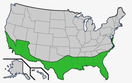 Range Of Sabal Palmetos In The United States - Do Palm Trees Grow In The Us, HD Png Download, Transparent PNG