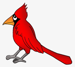 United States Clip Art By Phillip Martin Virginia State - North Carolina State Bird Drawing, HD Png Download, Transparent PNG