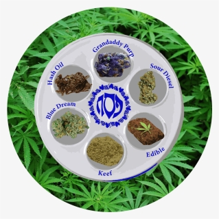 Passover And 4 20, HD Png Download, Transparent PNG