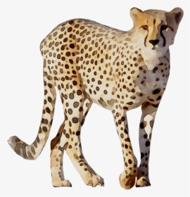 Cheetah Leopard Lion Animal Drawing - Cheetah, HD Png Download, Transparent PNG