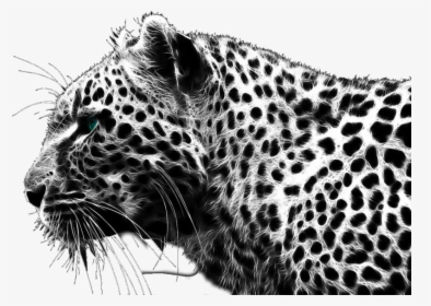 Cheetah Png - Leopard Black And White, Transparent Png, Transparent PNG