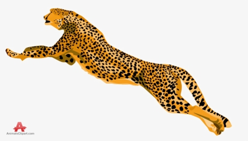 Cheetah Png Download Image - Cheetah Clipart, Transparent Png, Transparent PNG