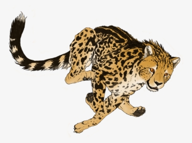 Cheetah Art Png, Transparent Png, Transparent PNG