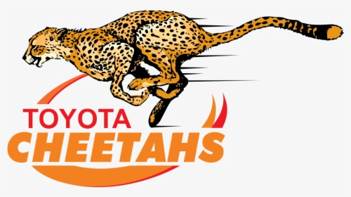 Transparent Cheetah Png - Cheetahs Rugby Logo, Png Download, Transparent PNG