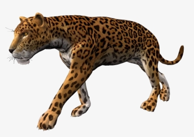 Cheetahpng Background - Leopard Animation, Transparent Png, Transparent PNG