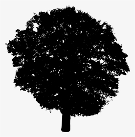 Silhouette Vector Image Of A Layered Tree Top - Bush Silhouette Transparent Background, HD Png Download, Transparent PNG