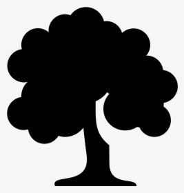 Palm Tree Top Png - Tree Icon Png, Transparent Png, Transparent PNG