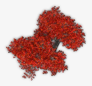 Plant,leaf,flowering Plant,shrub,ilex Verticillataamerican - Red Tree Top View Png, Transparent Png, Transparent PNG