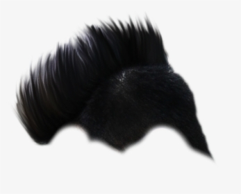Cb Hair Png,picsartallpng - Danish Zehen Background Images Hd, Transparent Png, Transparent PNG