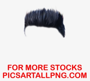 Picsart Editing Hair Png ,hair Png,picsartallpng - Wagenwerks, Transparent Png, Transparent PNG