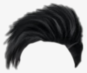 Hair Png, Hair Png Cb, Picsart Hair Png, Cb Hair Png, - Fish, Transparent Png, Transparent PNG