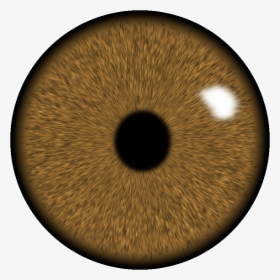 Transparent Brown Eye Clipart - Eyes Lens Png Hd, Png Download, Transparent PNG