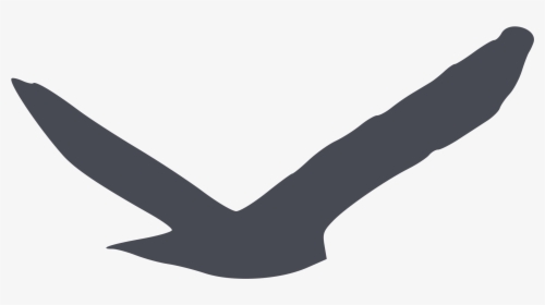 Predatory Bird Silhouette Clip Arts - Dark Grey Bird Silhouette Clip Art Vector, HD Png Download, Transparent PNG