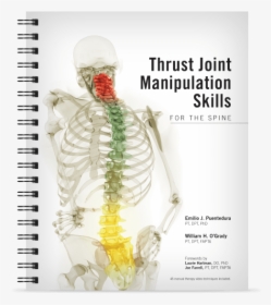Thrust Joint Manipulation Skills For The Spine - Thrust Joint Manipulation, HD Png Download, Transparent PNG