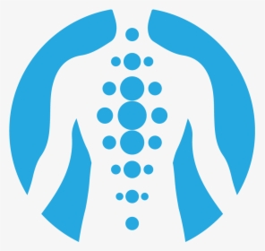 Chiropractic Free Spine Clipart, HD Png Download, Transparent PNG