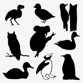 Birds Silhouettes And A Koala Clip Arts - Owl On Branch Silhouette, HD Png Download, Transparent PNG