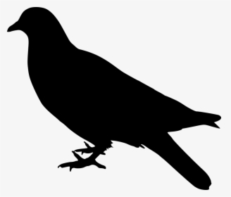 Dove, Bird, Silhouette, Animal, Avian, Emblem, Farm - Bird Stand Png, Transparent Png, Transparent PNG