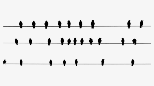 Array Of Perched Birds Silhouette - Silhouette, HD Png Download, Transparent PNG