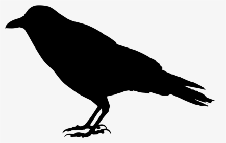 Crow Silhouette Png - Silhouette Crow Transparent Background, Png Download, Transparent PNG