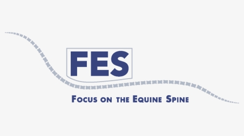 Focus On The Equine Spine - Parallel, HD Png Download, Transparent PNG