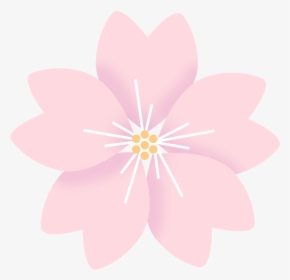 Flowers Cherry Blossom Sakura Free Picture - Sakura Flor De Cerezo Png, Transparent Png, Transparent PNG