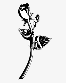 Rose Black And White Roses Clip Art Black And White - Black And White Rose Png, Transparent Png, Transparent PNG