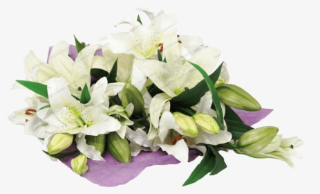 Lilies Bouquet - Lily, HD Png Download, Transparent PNG