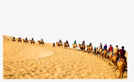 Transparent Desert Png - Camel On Desert Png, Png Download, Transparent PNG