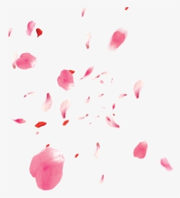 Freetoedit Ftestickers Flower Flowers Pink Rose Petals - Pink Rose Petals Png, Transparent Png, Transparent PNG