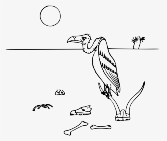 Xerocole Bactrian Camel Dromedary - Desert Animals Line Drawing, HD Png Download, Transparent PNG