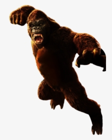 The Stuingtion And Hiatt Grey Cinematic Universe W - Kong Skull Island Png, Transparent Png, Transparent PNG