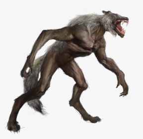 Werewolf Png Photo - Illustration, Transparent Png, Transparent PNG