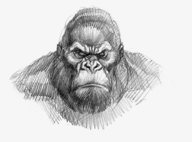 King Kong Drawing Easy , Png Download - King Kong Gorilla Face Drawing, Transparent Png, Transparent PNG