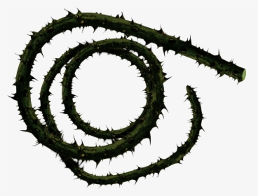 The Corpse Carrier Wields Creeping Death, A 10ft Long - Thorn Vine Png Transparent, Png Download, Transparent PNG
