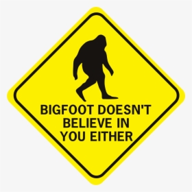 Bigfoot Doesn T Believe In You Either Diamond - You Are Being Watched Signs, HD Png Download, Transparent PNG