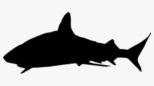 Shark Silhouette Png, Transparent Png, Transparent PNG
