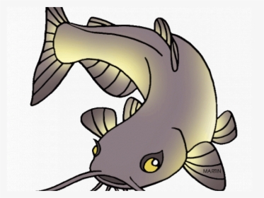School Fish Cliparts Free - Catfish Clip Art, HD Png Download, Transparent PNG