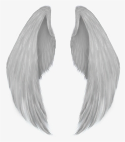Angel Wing Drawing - Angel Wings Png, Transparent Png, Transparent PNG