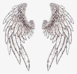 Wings Wing Angle بال Freetoedit - Guardian Angel Wings, HD Png Download, Transparent PNG