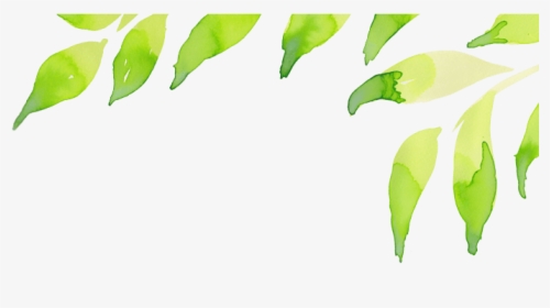 Leaf Header Transparent Background, HD Png Download, Transparent PNG