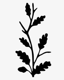 Oak Clipart Leafy Tree - Free Fall Branch Svg, HD Png Download, Transparent PNG
